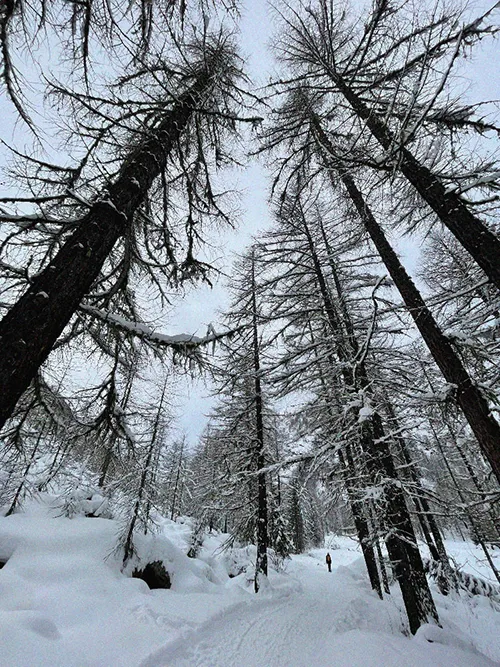 Cogne, Italy (January 2026)